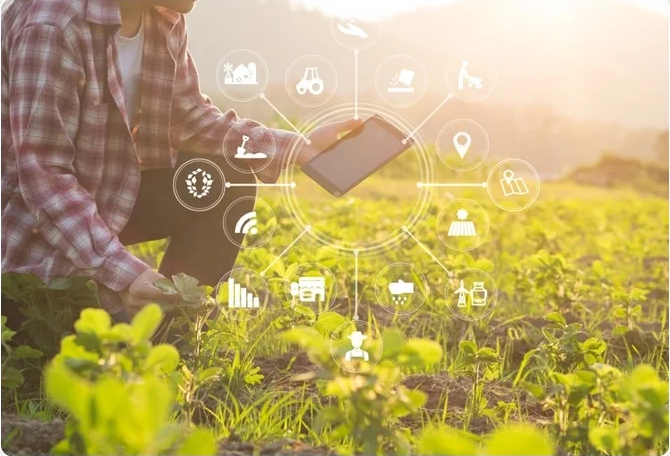 Chemistry in Agriculture and Plant Protection